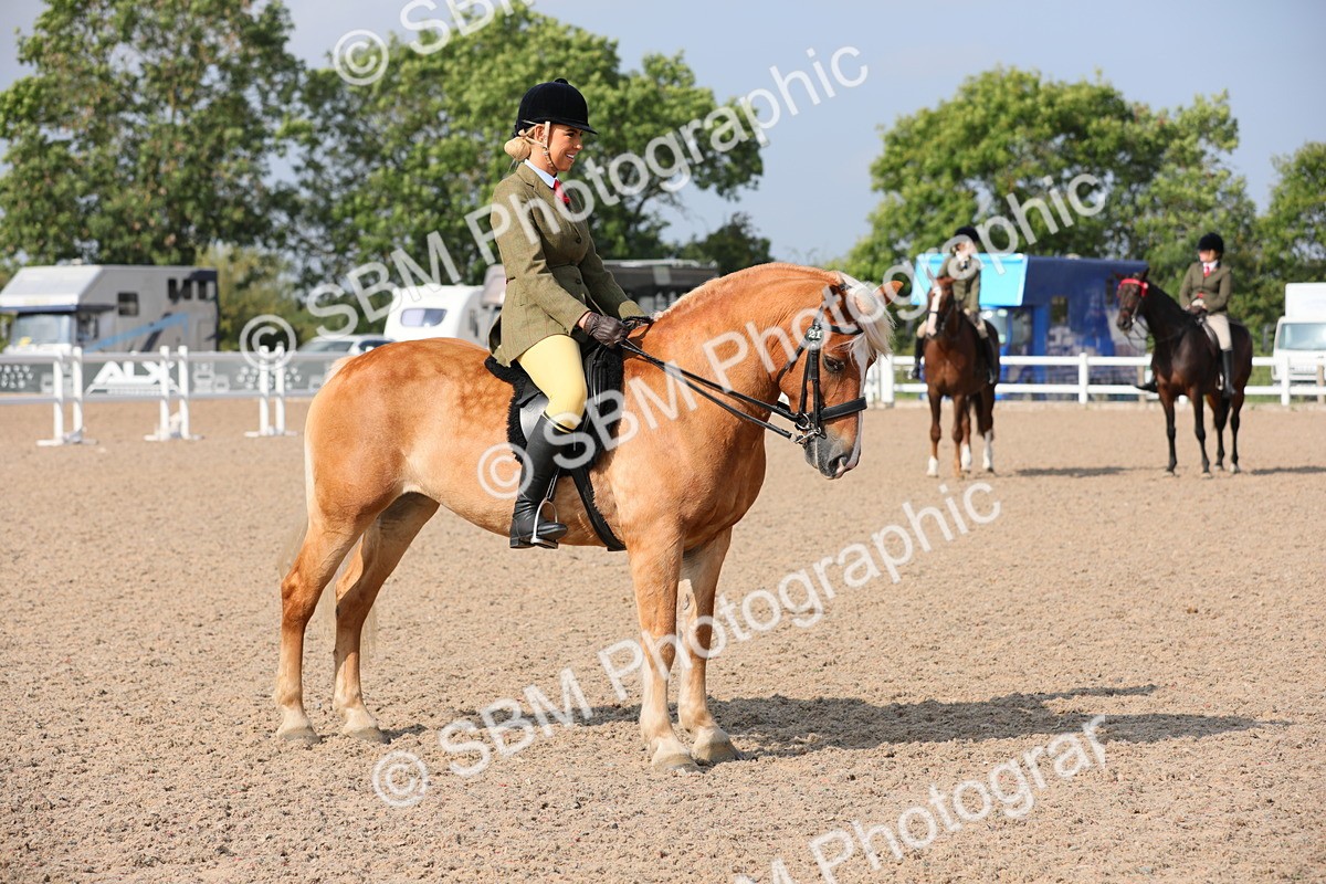 SBM_11408 - Class 305 Ridden Foreign Breeds- Pure Bred
