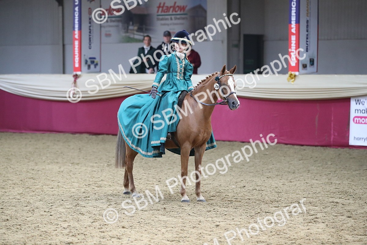 SBM_11207 - Class 104 Ridden Costume - Astride Junior