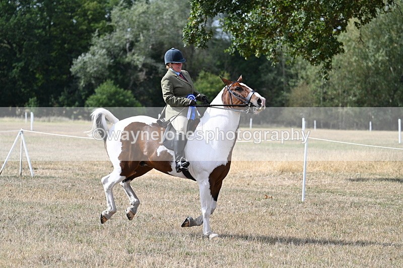 WJ7_7505 - Class 14 Ridden Coloured