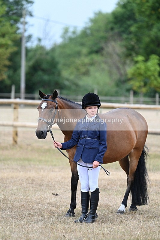 WJ7_9660 - Class 5 Most Handsome Gelding (up to 14.2hh)