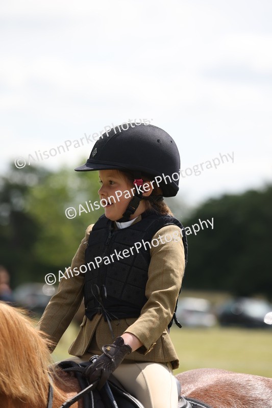 20260614-1993 - Class 21 - Novice Working Hunter Pony