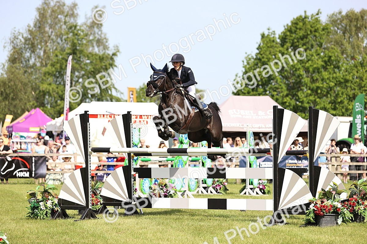 SBM_03058 - Class 201 - British Horse Feedds Speedi Beet HOYS Grade C