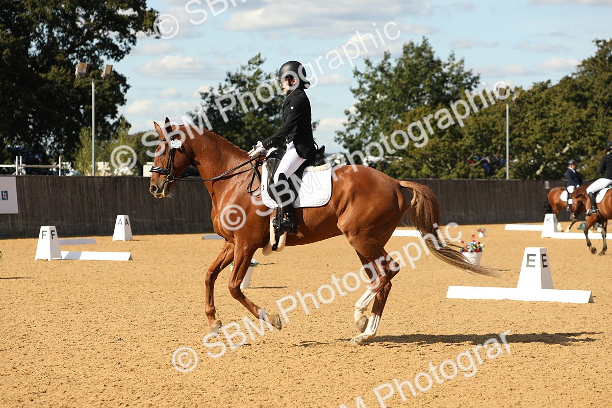 SBM_24631 - D17 - Grand Tour Championship - Novice 27