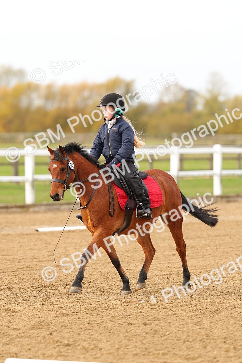 SBM_000244 - Class 2-11 - CT Intro 3 60cm - DR Intro 3