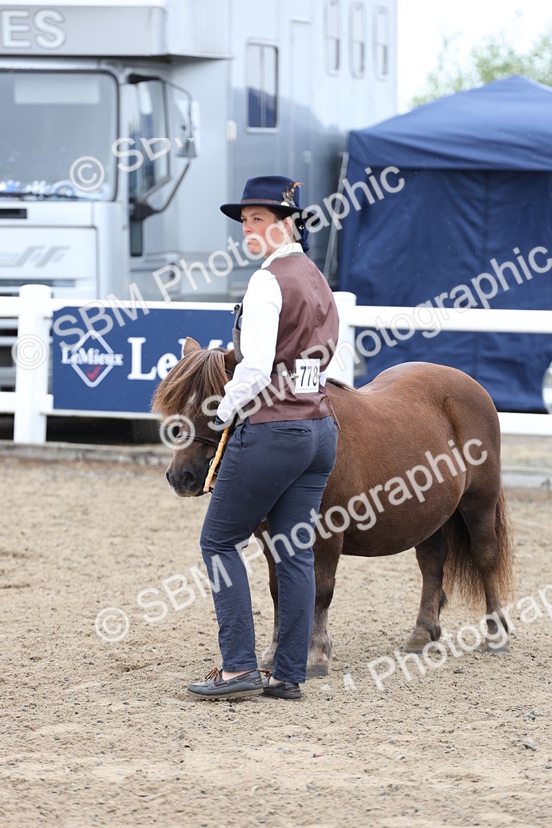 SBM_00082 - Class 50 - Best Turned Out IH