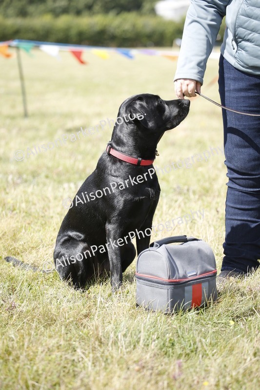 20250831-3688 - Dog Show