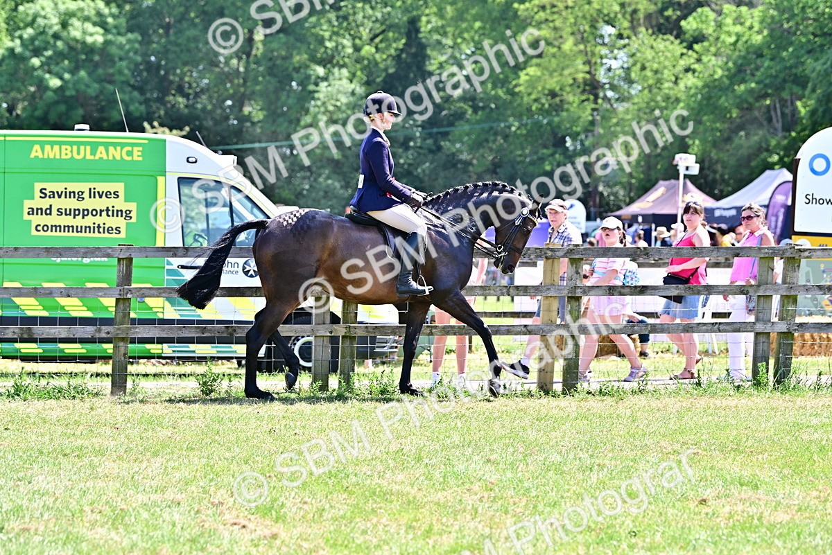 SBM_17567 - Class 95-97 - BSPS LHS Performance Ponies