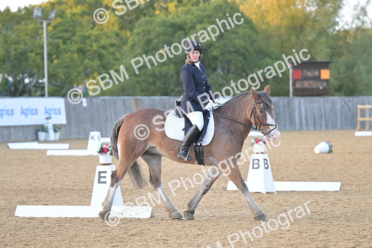 SBM_13553 - D3 - Small Tour Championship Intro 3