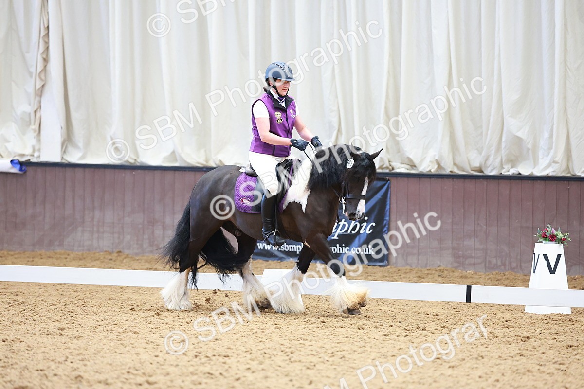 SBM_003253