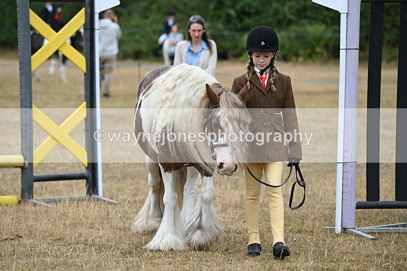 WJ6_8035 - Class 10 Coloured in Hand