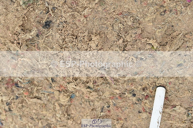 231013A-140530-02493 - Cls 4 1.10 Amateur Quali & Open