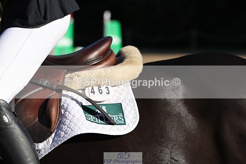 241027-112622-16780 - 463-Ilaria.Serra-FOXBURY.STORMBORN