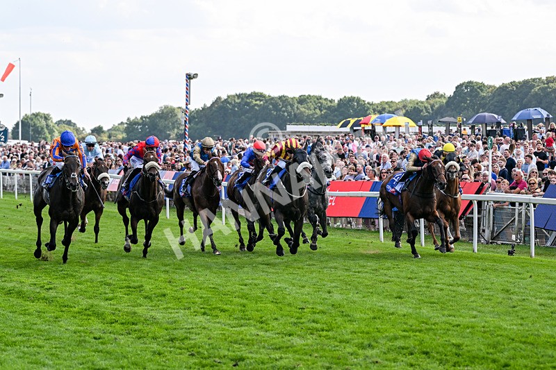 220826-Race 5-Sondad-1079 - Race 5 16.10pm Sky Bet Constantine Handicap