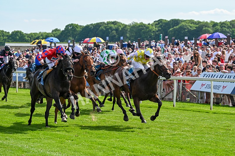 230526-Race 5-Reliable Ricki-7384 - Race 5 15.50pm Reg Bond 'Always And Forever' Handicap
