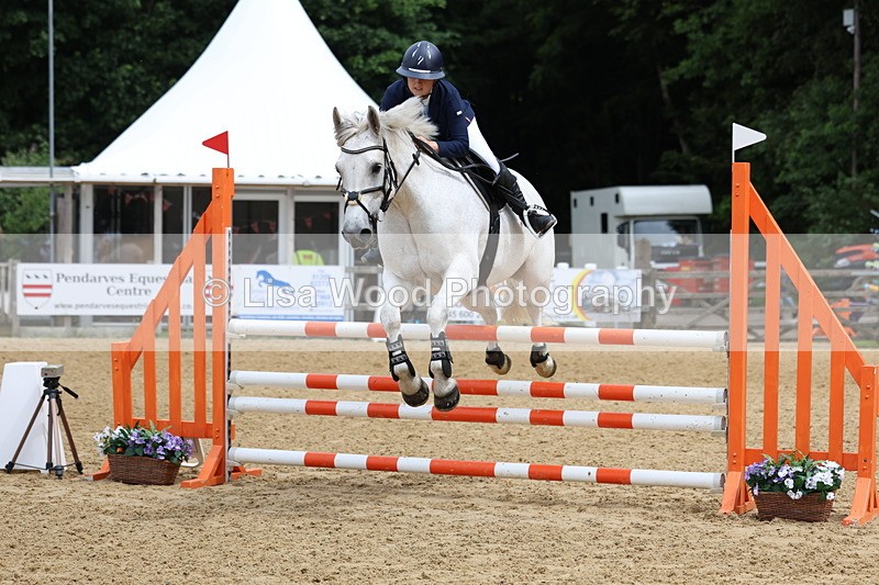 3E7A6333 - Class 4: Senior British Novice/90cm open