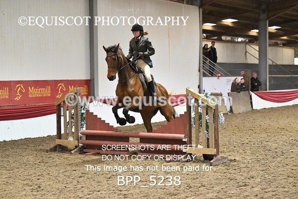 BPP_5238 - CLASS 5 HORSE AND HOUND