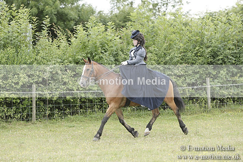 BVR160717-2438 - Side Saddle Classes 16/07/17