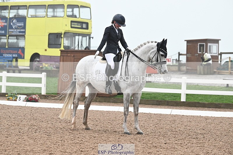 240217A-143053-03620 - 238-Josephine.Fenton-Kashan.Maheer.Ibn.Montroze