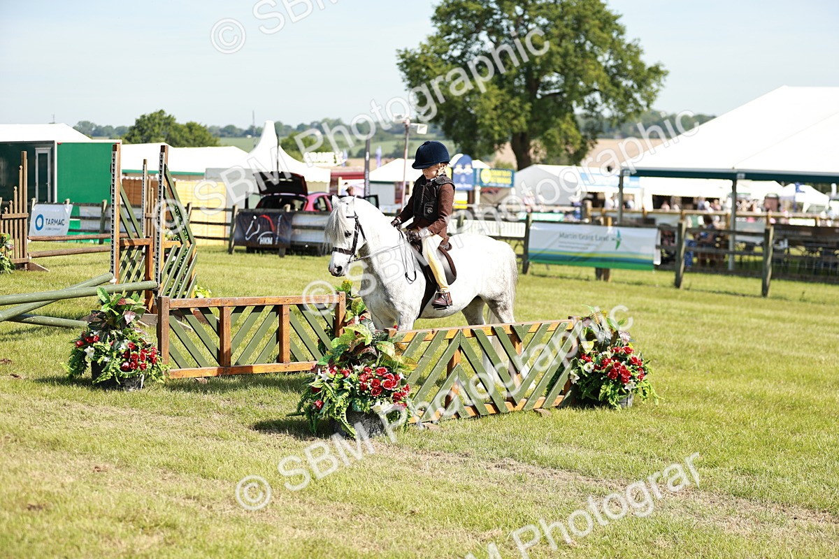 SBM_12780 - Class 106-107 - BSPS LIHS Working Sports Pony