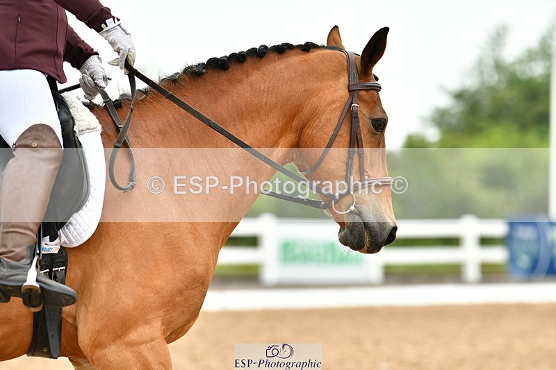 230708A-114403-02607 - Prelim 13