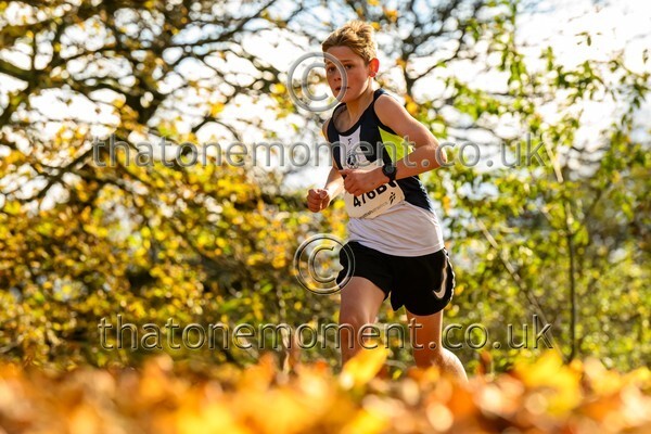 NatRel25-914578 - Young Male Set Two