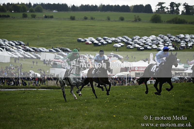 PtP 170417 70 - Old Berks Point-to-Point Lockinge 17/04/17