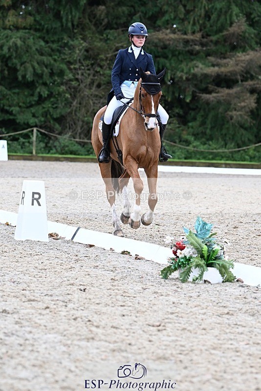 231019-130328-02916 - 049-AUGUSTUS.IMPERIOUS-Ines.Mitchell-DR