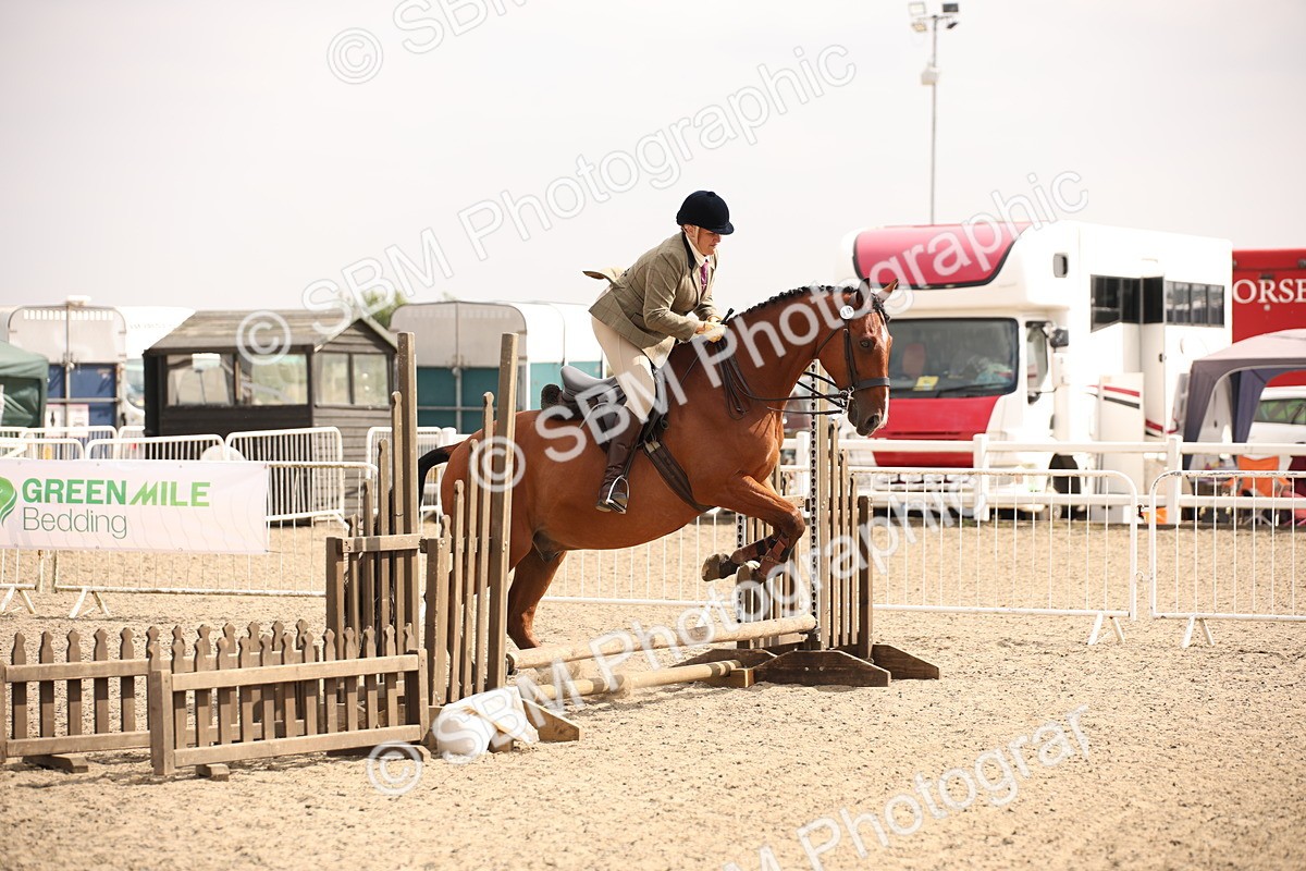 SBM_12884 - Class 406a - Working Veteran 50cm (15-19)