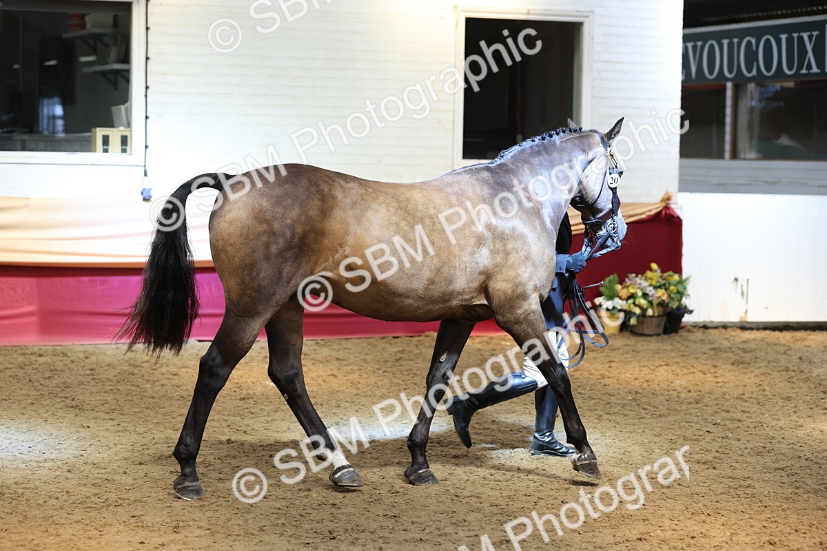 SBM_24150 - Class 905 - Supreme Final - Ridden Veteran