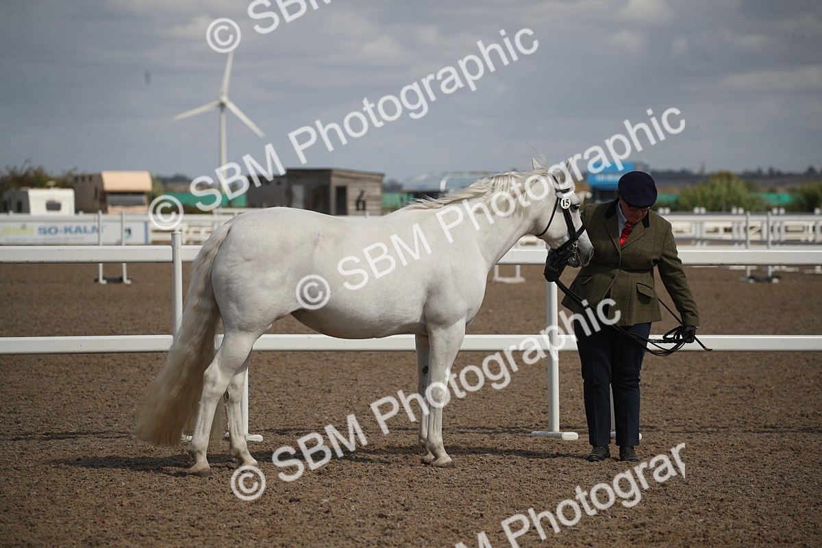 SBM_23100 - Class 606 - 2026 - Area - IH Pre Vet