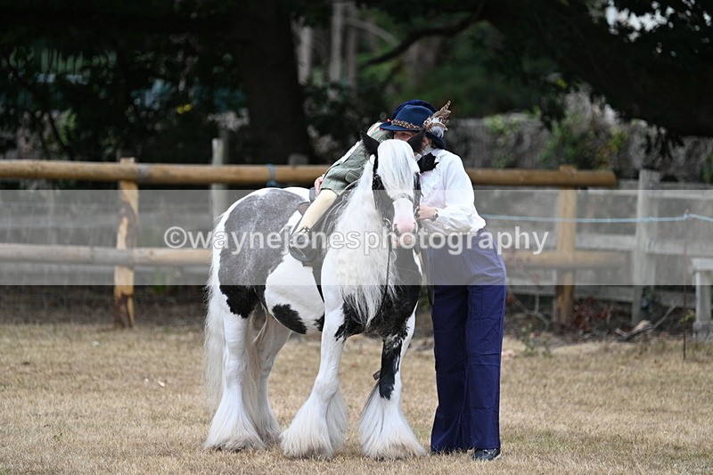WJ7_6600 - Class 1 Lead Rein Pony
