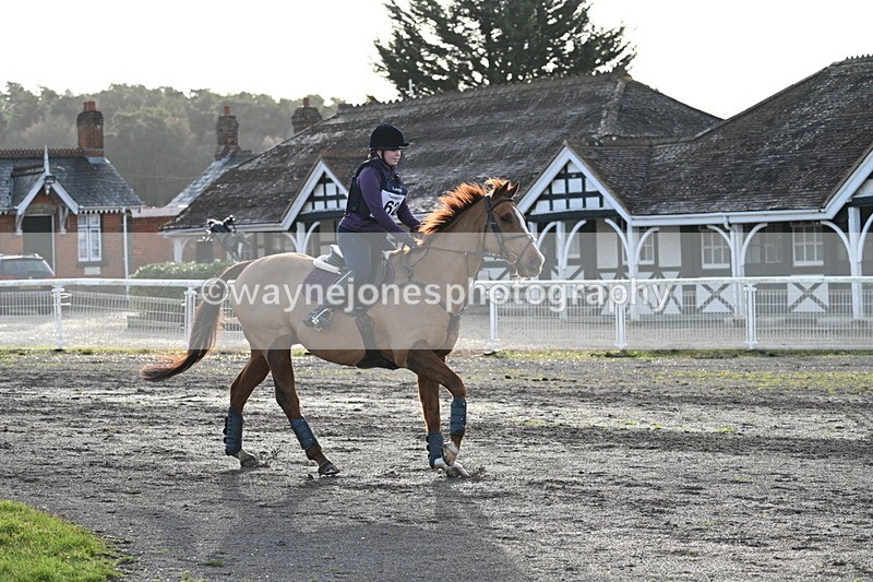 WJ7_0181 - Time 11:49 to 12:09