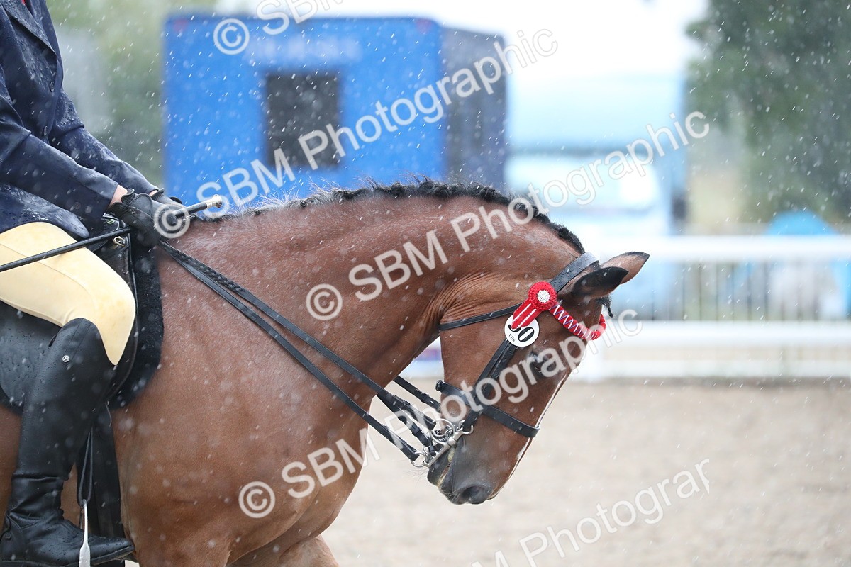 SBM_20408 - Class 601 - 2025 Area - Ridden Diamond