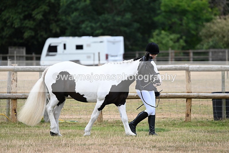 WJ6_4147 - Class 10 Coloured In-hand