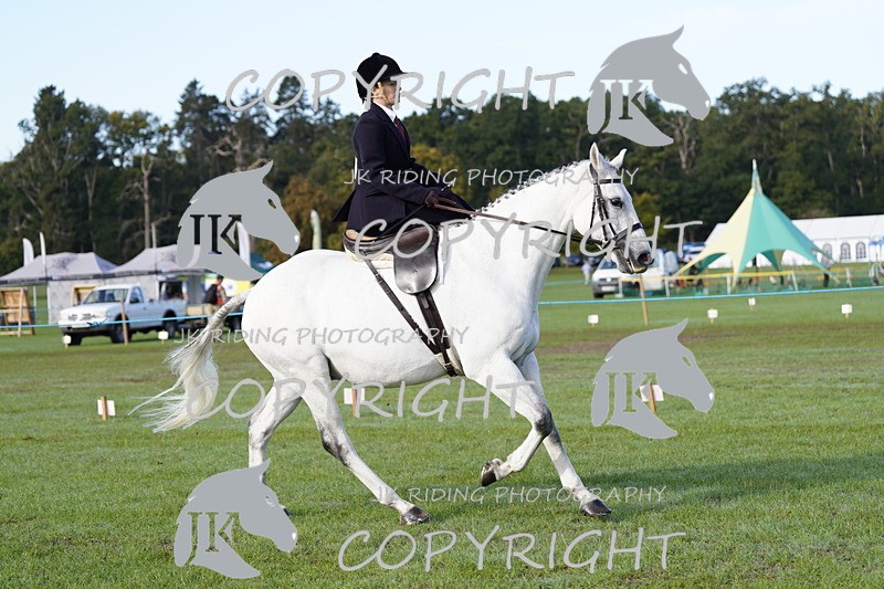 _DSC9341 - Class 8 & 17 Ridden Hunter & Ridden Hunter Pony