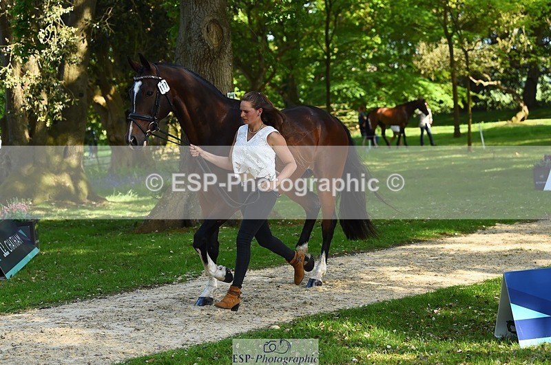 230524-165012-01123 - 117-J-Holly_Horton-WEDTrotUp+DR