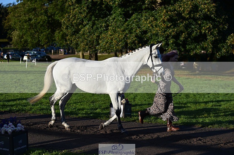 231022-090416-21542 - 616-HER.NAME.IS.LOLA-Emma.Farrar-TrotUp+SJ