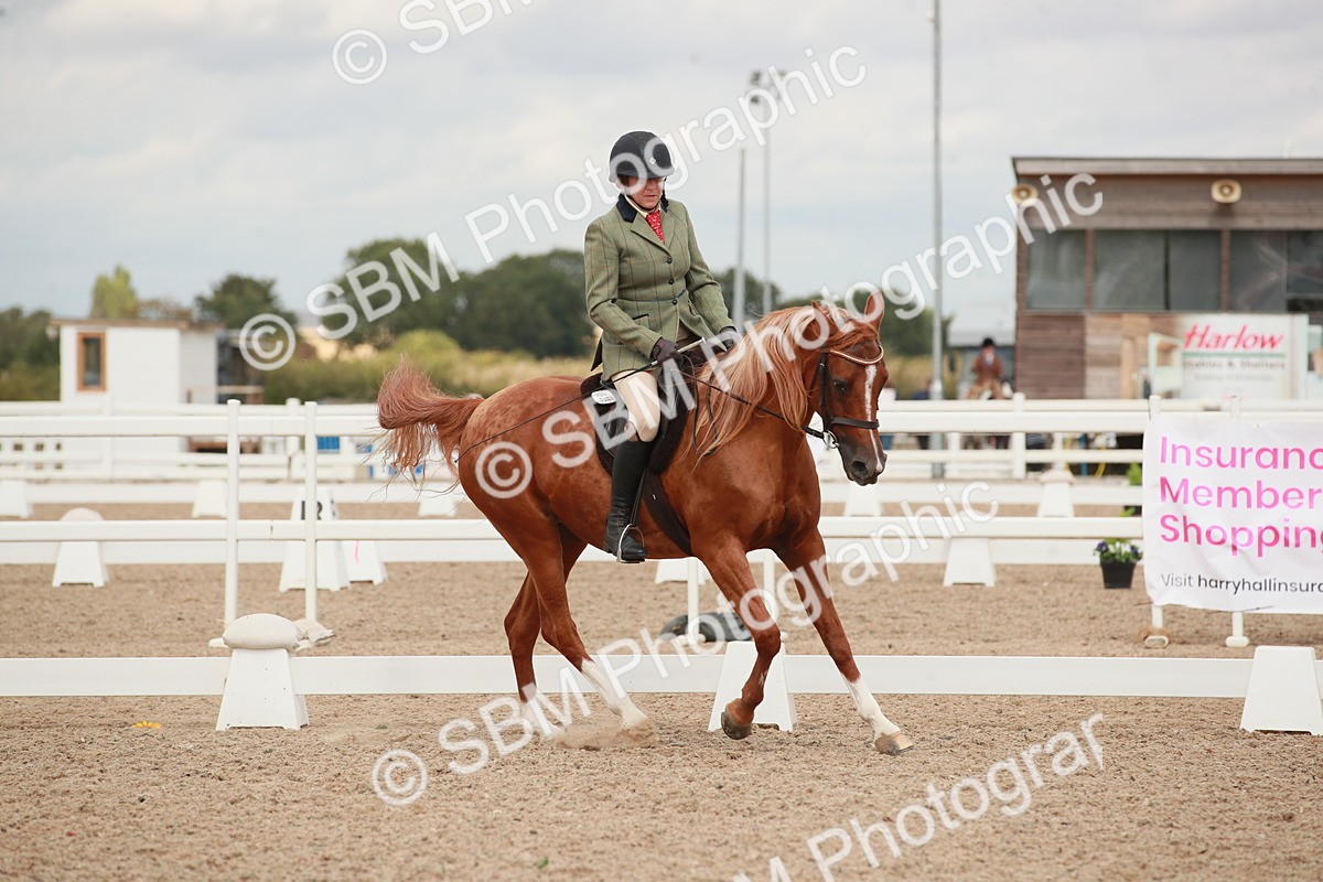 SBM_05998 - Class 32 - Novice 1