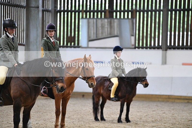 WJ5_8671 - Class 14 Novice Ridden/Rider