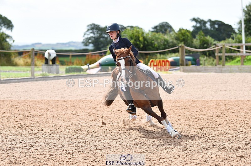 230716A-102408-02001 - Cls 35 Springboard 128cm & 138cm