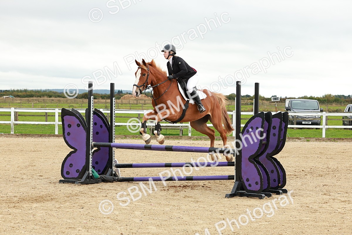 1I0A6763 - Class 2 - Senior British Novice