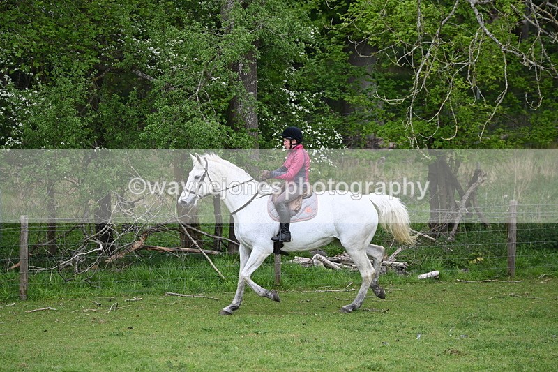 WJ6_3154 - A camera