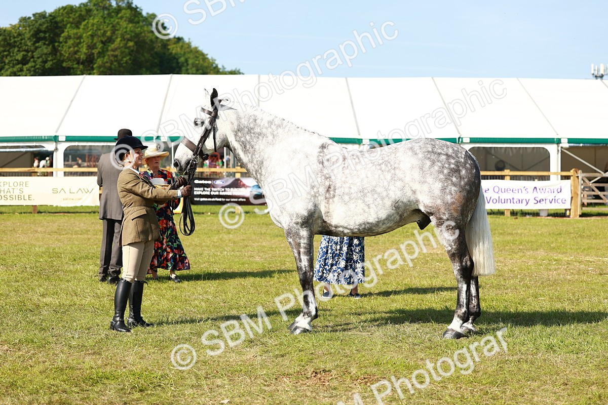 SBM_11809 - Class 66-69 - RIHS Ridden Hunters Inc Small Hunter