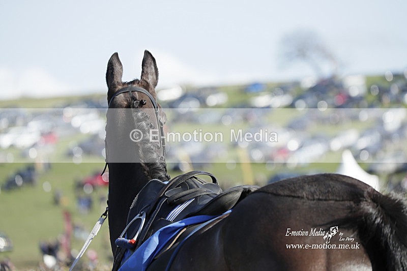 PtP 100423 1186 - Old Berkshire Point-to-Point Lockinge 10/04/23
