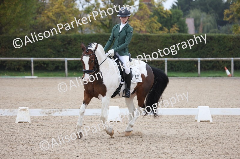 20251012-0602 - Class 5 - Elementary 5