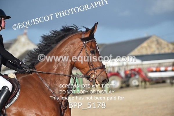 BPP_5178 - CLASS 15 Senior Foxhunter/ 1.20m Open