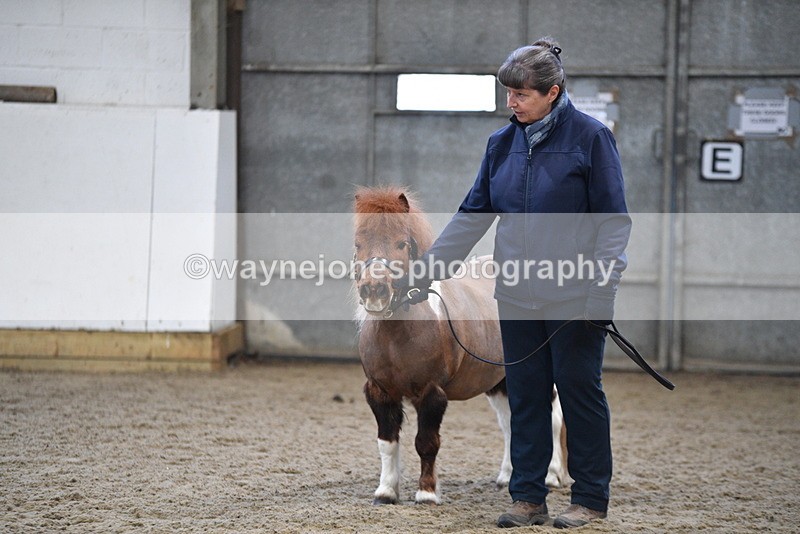 WJ5_5134 - Class 7 In hand coloured / odd coloured