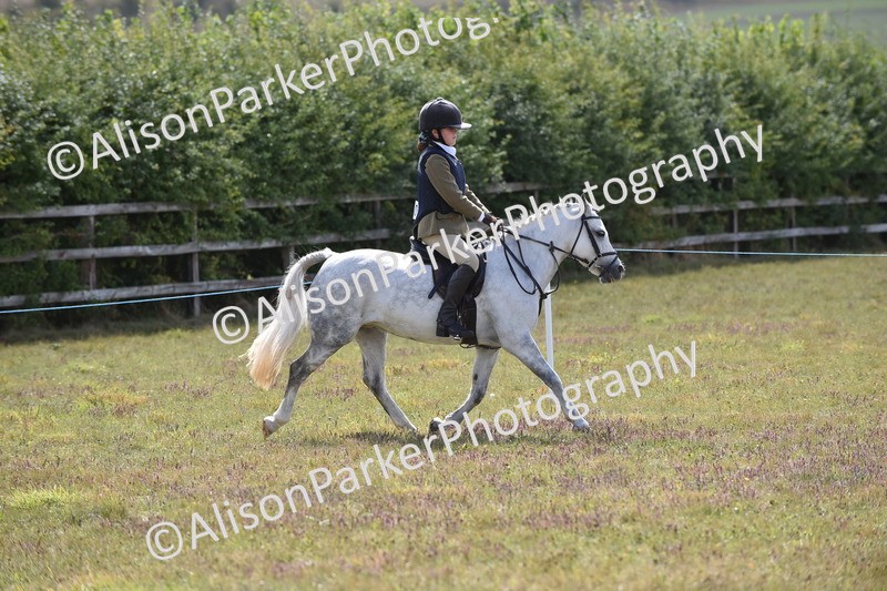 20250831-3946 - Class 11 - Working Hunter Pony 13hh and Under