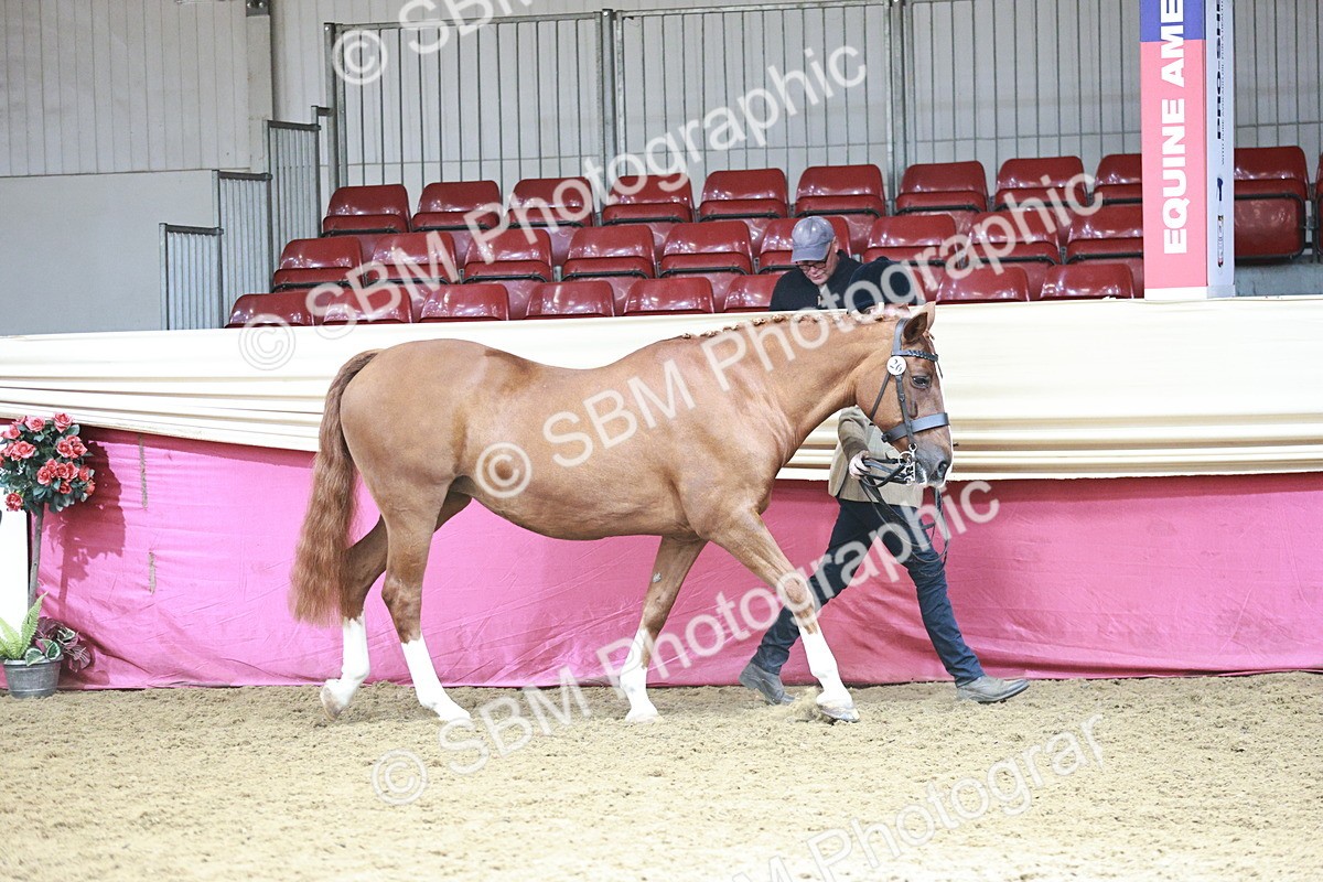 SBM_04711 - Class 7R - Regional IH Diamond