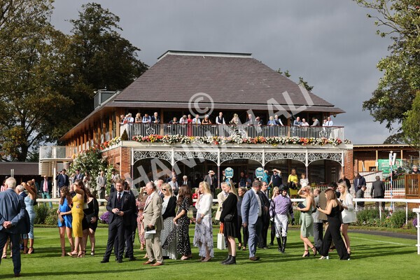 yr24092021r4-8 - Race 4 3.15pm William Hill Play Responsibly British EBF Restricted Novice Stakes